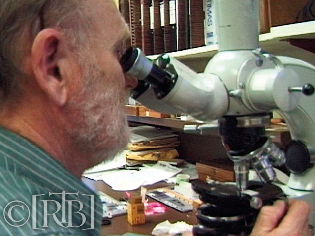Vervolgens heb ik het monster voor onderzoek afgeleverd bij Dr. Peter Ellis van de Universiteit van Sydney en vervolgens bij Dr. Tom Loy van de Queen Sland Universiteit. Beiden bevestigden de beoordeling van Dr. Lawrence. dacht dat het meer op spieren leek dan op huid.