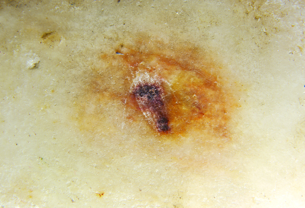 Affresco di Papa San Gregorio Magno che tiene la Carne miracolosa davanti ai fedeli (595 d.C.)