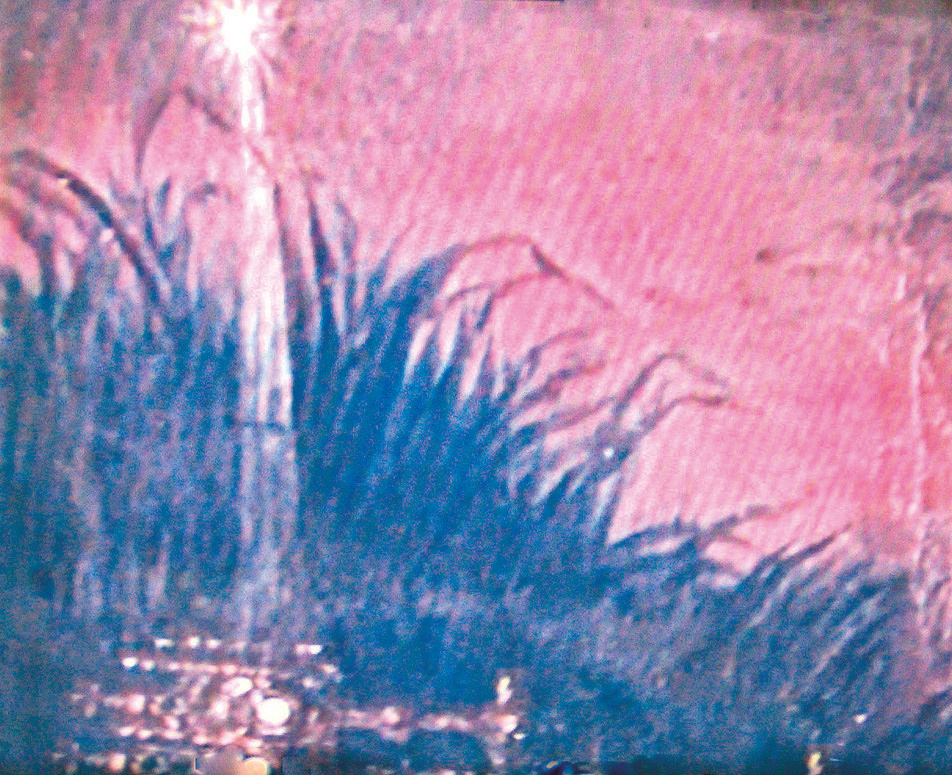Detail of the painting